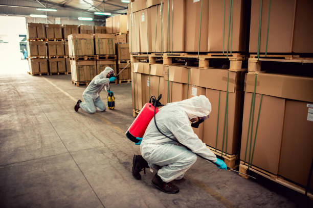 Best Termite Control Services  in Baytown, TX