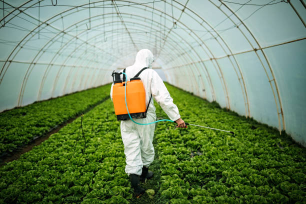Professional Pest Control in Baytown, TX