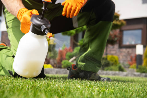 Best Rat Extermination Near Me  in Baytown, TX