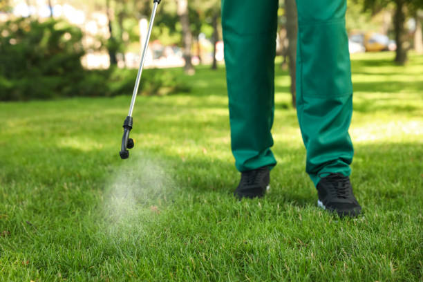 Best Best Pest Control Companies  in Baytown, TX