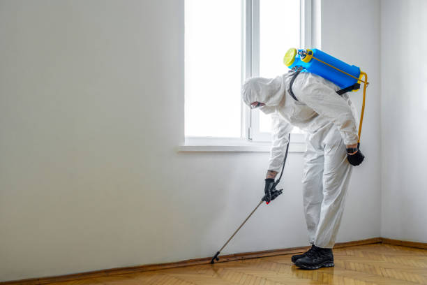 Best Affordable Pest Control Services  in Baytown, TX