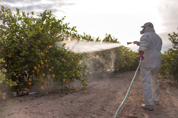 Best Bed Bug Extermination  in Baytown, TX