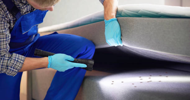 Reliable Baytown, TX Pest Control Solutions