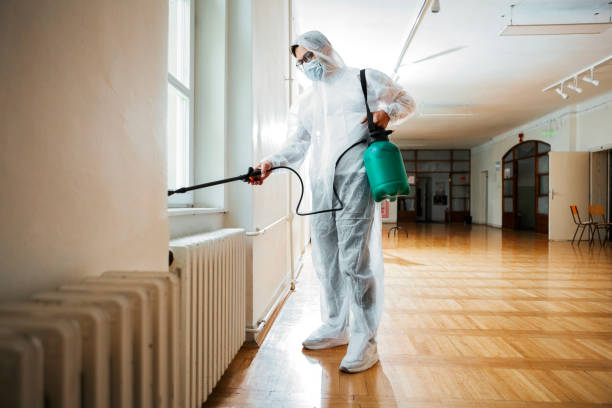 Best Ant Control Services  in Baytown, TX