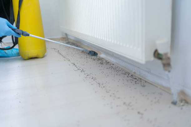Best Cockroach Control Services  in Baytown, TX