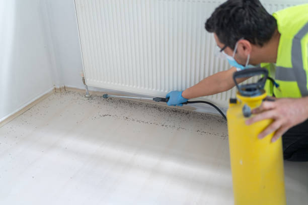 Best Pest Control Near Me  in Baytown, TX